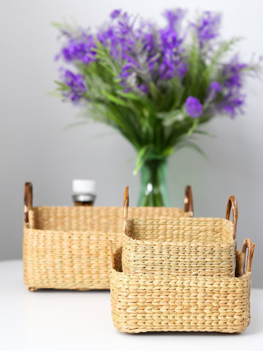 Hand-Braided Seagrass Fruit Hamper Basket Set of 3 with Cane Handles