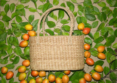 Handwoven Oval Seagrass Fruit Basket with Handle | Versatile Design for Fruits & Pet Carrier